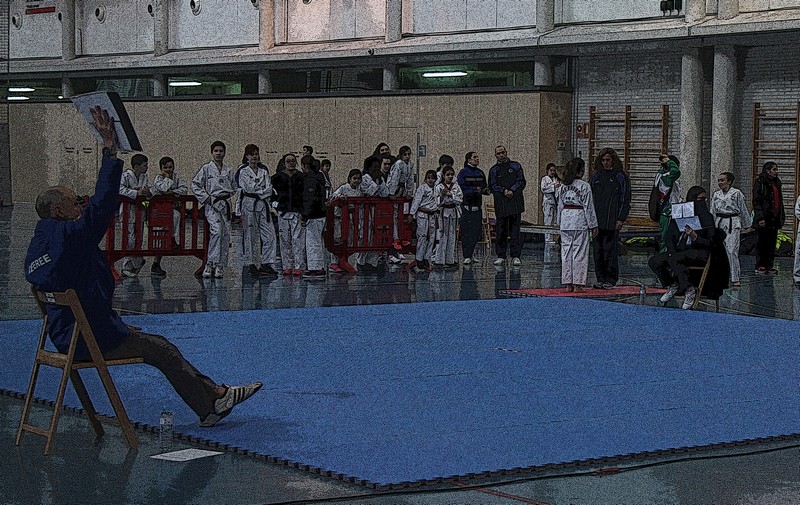 RESULTADOS CAMPEONATOS POOMSAE 2018